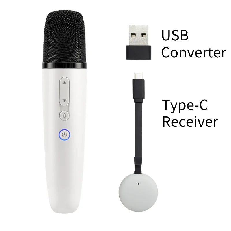 Tesla Car Karaoke Microphone for Tesla Model Y/3/X/Cybertruck, Rechargeable Caraoke Mic with USB-A & USB-C Receiver
