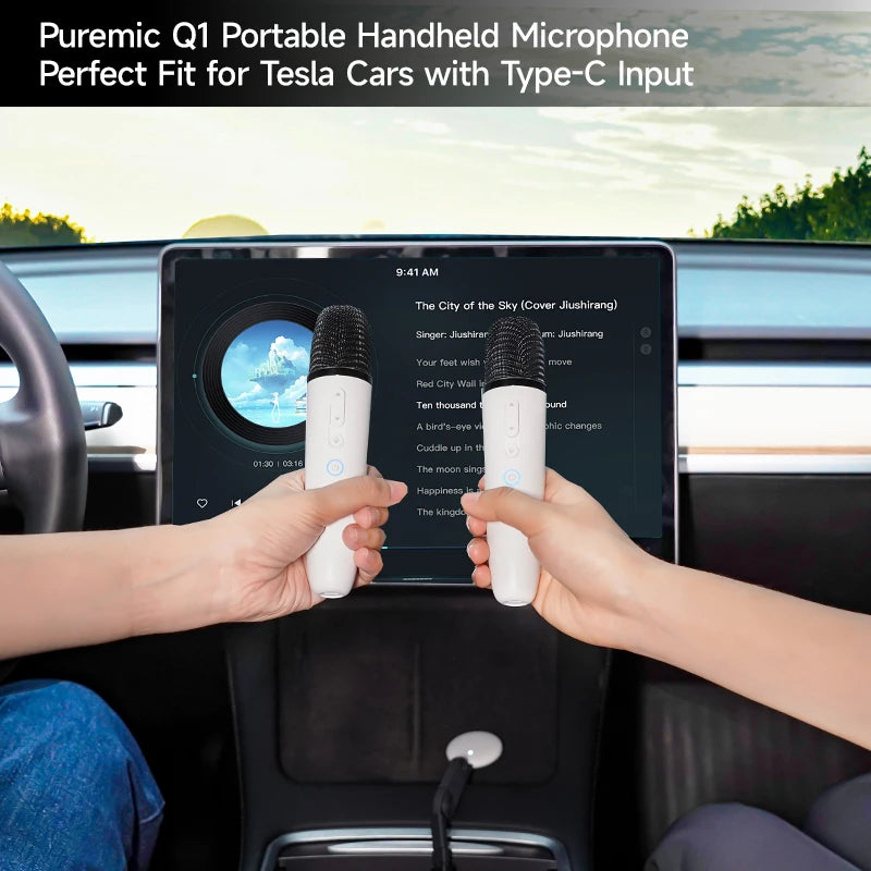 Tesla Car Karaoke Microphone for Tesla Model Y/3/X/Cybertruck, Rechargeable Caraoke Mic with USB-A & USB-C Receiver