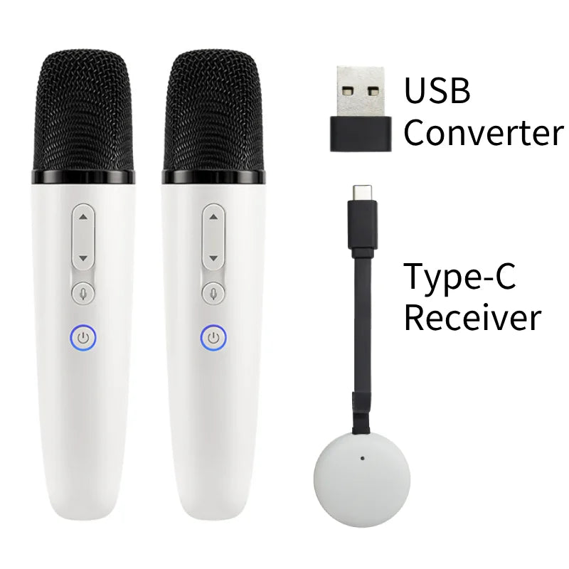 Tesla Car Karaoke Microphone for Tesla Model Y/3/X/Cybertruck, Rechargeable Caraoke Mic with USB-A & USB-C Receiver