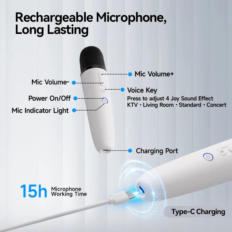 Tesla Car Karaoke Microphone for Tesla Model Y/3/X/Cybertruck, Rechargeable Caraoke Mic with USB-A & USB-C Receiver